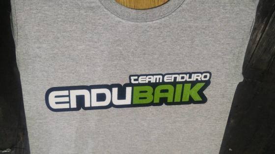 Estampado poleras