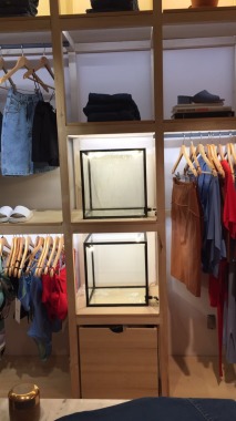 Exhibidores de joyas