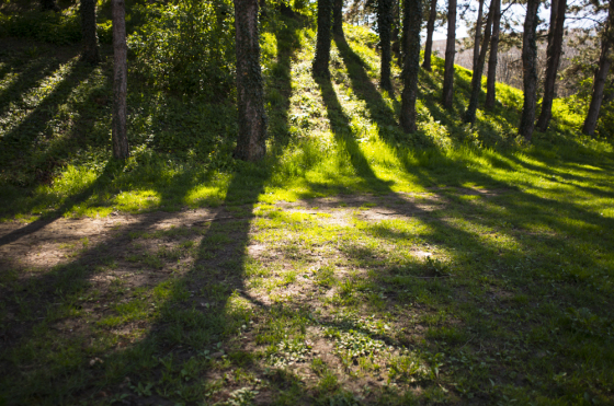 Imagine-moi le monde, reportage photographique à la Villeneuve, Grenoble
© Margot Raymond, 2014