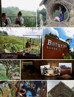Baturiti luak Coffe