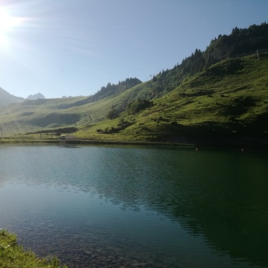Cat'Services En Aravis