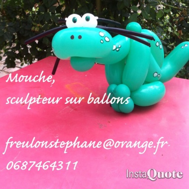 Mouche, Sculpteur Sur Ballons