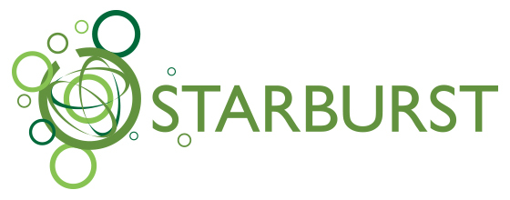 LOGO DESIGN:
STARBURST internal tool