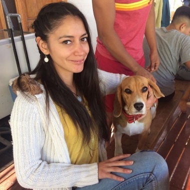 Cuidadora De Mascotas