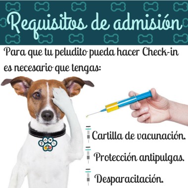 Requisitos de admisión