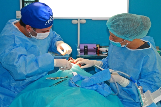 Implantes