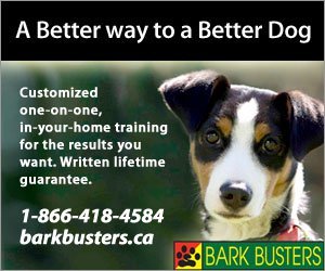 Bark Busters Edmonton 780-457-2559