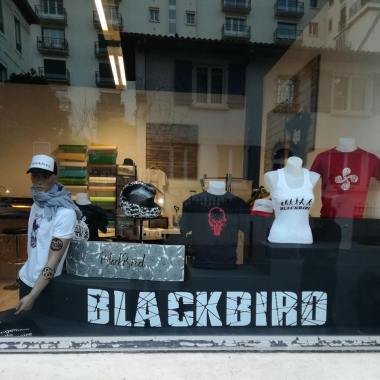 Blackbird