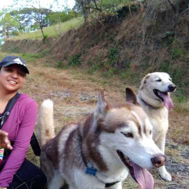 Alex Dog Walker