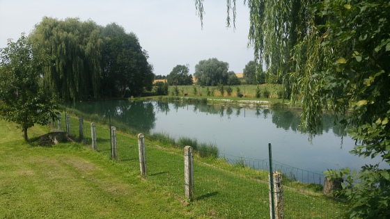 Etang de pêche