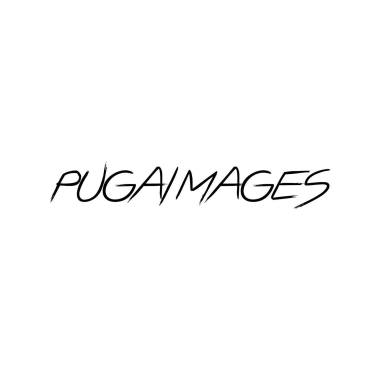 Pugaimages