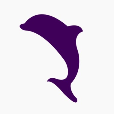 The Digital Shark