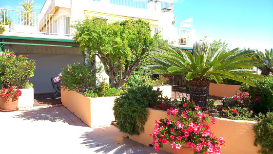 Entretien d'un toit terrasse