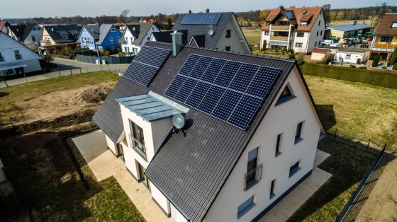 SunPower_1.jpg