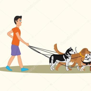 Dog Walk