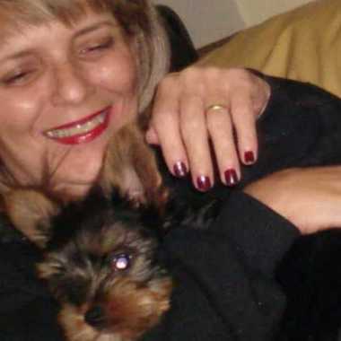 Pet Club Hoapedagem Familiar Para Cães E