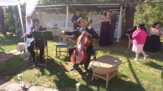 acompañamiento musical variado