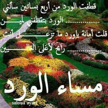 Prof. Arabe