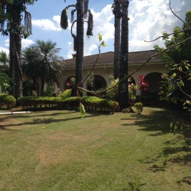 Terra Molhada Jardinagem