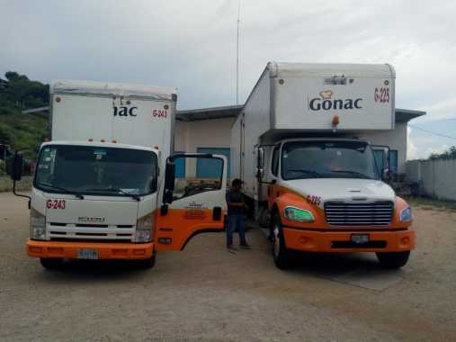 Servicio fumigacion a transporte 