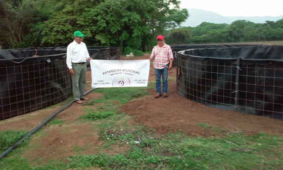 Construcción de Estanques Acuicolas
