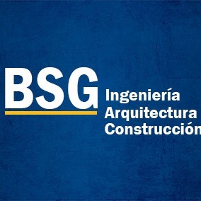 Bsg