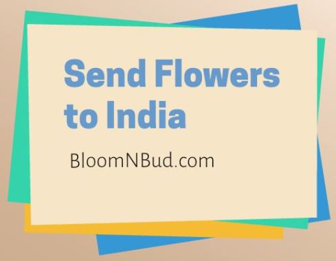 Send Flowers India - Bloomnbud