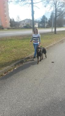 leïgo chien que je garde sur touté l'année
