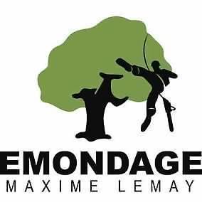 Émondage Maxime Lemay