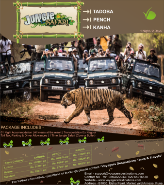 Jungle Safari.png