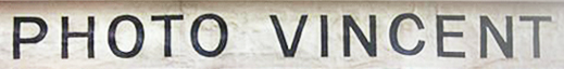 Photo Vincent