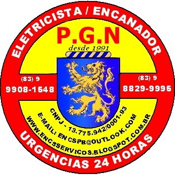 P.G.N Serviços