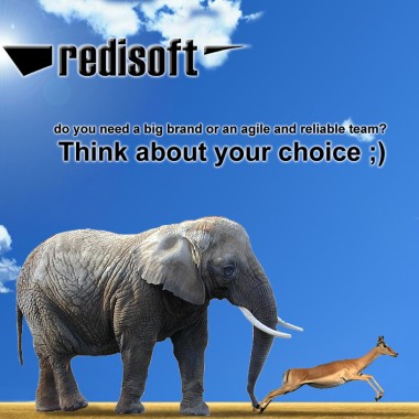 Redisoft S.R.L.