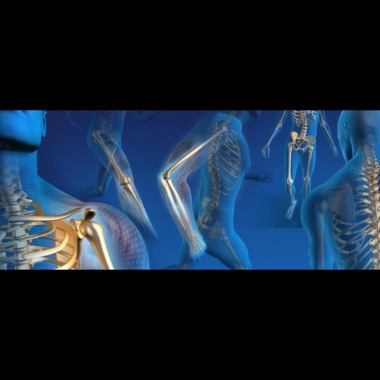 Fisioterapia In Life