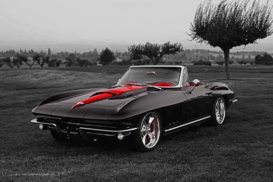 Copyright: A-1 Photographic Images