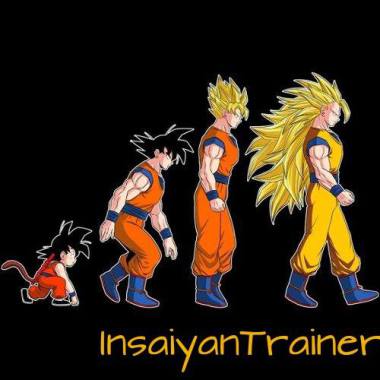 Insaiyantrainer
