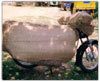 Lion packers Bike Packing