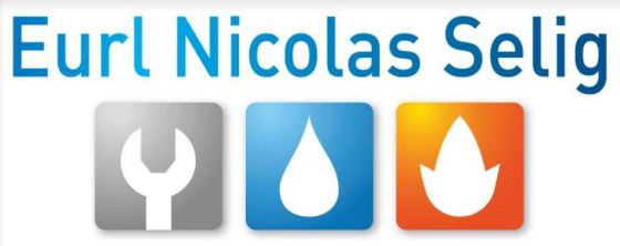 Eurl Nicolas Selig
