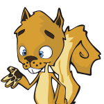 Nutz Créateur De Contenu Graphique Et Animé