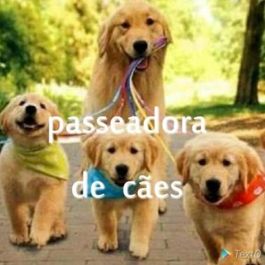 Cuidadora De Animais