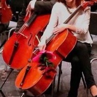 Aulas De Violoncelo