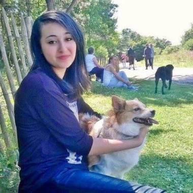 Le Paradis Des Chiens