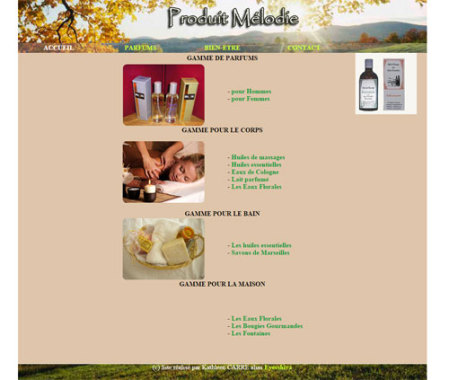Exemple de site que j'ai réalisé