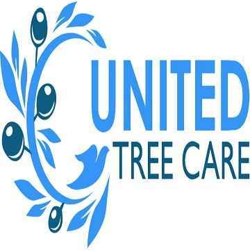 United Tree Care Llc