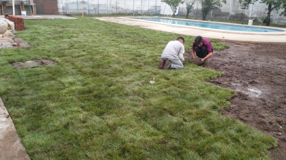 Instalacion de palmetas