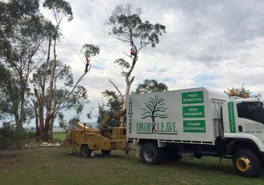 We provide tree removal and tree pruning services around Gippsland.