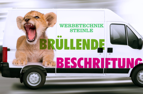 www.steinle-werbetechnik.de