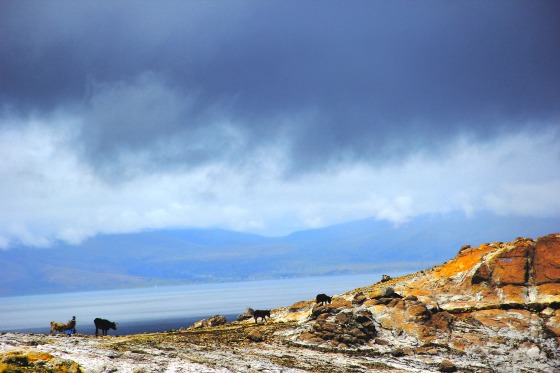 Naturaleza, Isla del sol