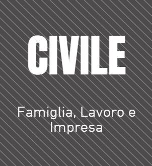 Lo Studio opera nei vari rami del diritto civile, con particolare attenzione alle aree relative a famiglia, divorzio, figli e adozioni, eredità e donazioni, condominio, diritti del lavoratore, infortunistica stradale, responsabilità medica, diritto del Consumatore, banche, recupero crediti, contratti d'impresa, diritto societario e fallimentare.