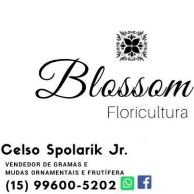Floricultura E Paisagismo Blossom